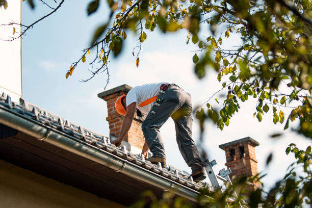 Gutter Installation and Roofing in Lake Kerr, FL
