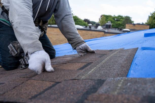 Best Shingle Roofing Installation  in Lake Kerr, FL