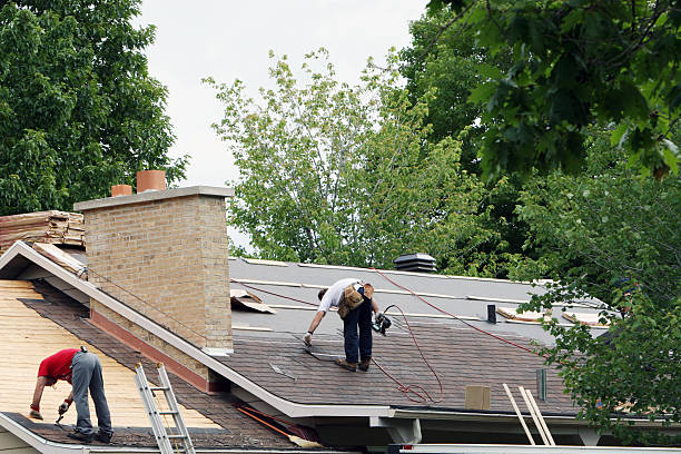 Quick and Trustworthy Emergency Roof Repair Services in Lake Kerr, FL